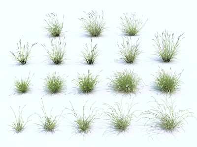 Different Types of Green Grass Plants Arranged Together on White Background 3d model