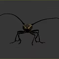 Detailed Longhorn Beetle with Long Antennae Black and Yellow Body on Dark Background