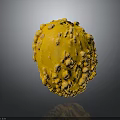 Yellow Fruit With Bumpy Surface And Round Shape On Dark Background