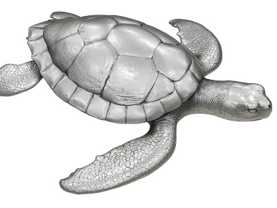 Turtle 3d model