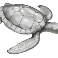 Turtle Turtle 3d model