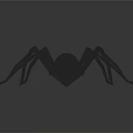 Realistic Black Spider With Long Thin Legs On Dark Background
