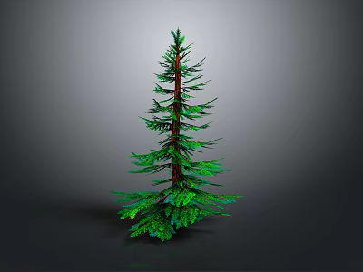 Tall Green Pine Tree With Brown Trunk And Lush Green Needles Isolated On Dark Background 3d model