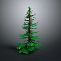 Tall Green Pine Tree With Brown Trunk And Lush Green Needles Isolated On Dark Background