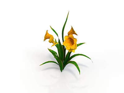 Vibrant Yellow Calla Lilies With Lush Green Leaves On Clean White Background 3d model