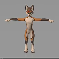 Anthropomorphic Fox Character Design With Brown White Fur Green Eyes Standing Pose