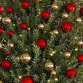 Decorated Christmas Tree With Red Gold Baubles And Gift Boxes Underneath