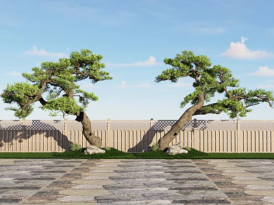 Two Elegant Arbor Trees With Wooden Fence Stone Pavement And Blue Sky White Clouds 3d model