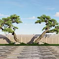 Two Elegant Arbor Trees With Wooden Fence Stone Pavement And Blue Sky White Clouds