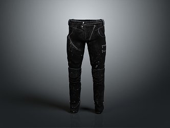 Pants Trousers Men's Pants Women's Pants Clothes Clothing 3d model