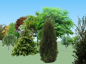 The Modern Tree 3d model