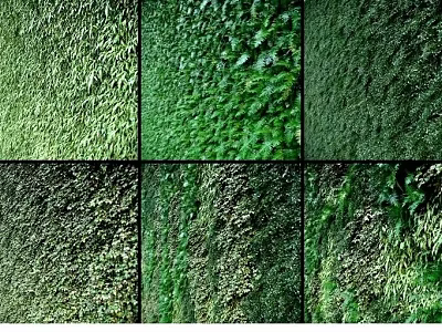 Variety Of Green Living Wall With Different Plants 3d model