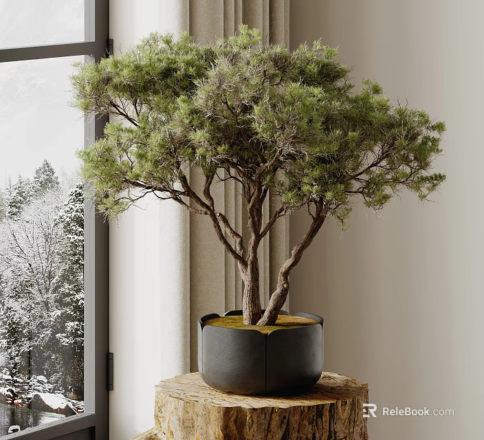 Indoor Bonsai Pine Tree in Black Pot on Wooden Table by Window with Snowy Scene 3d model 