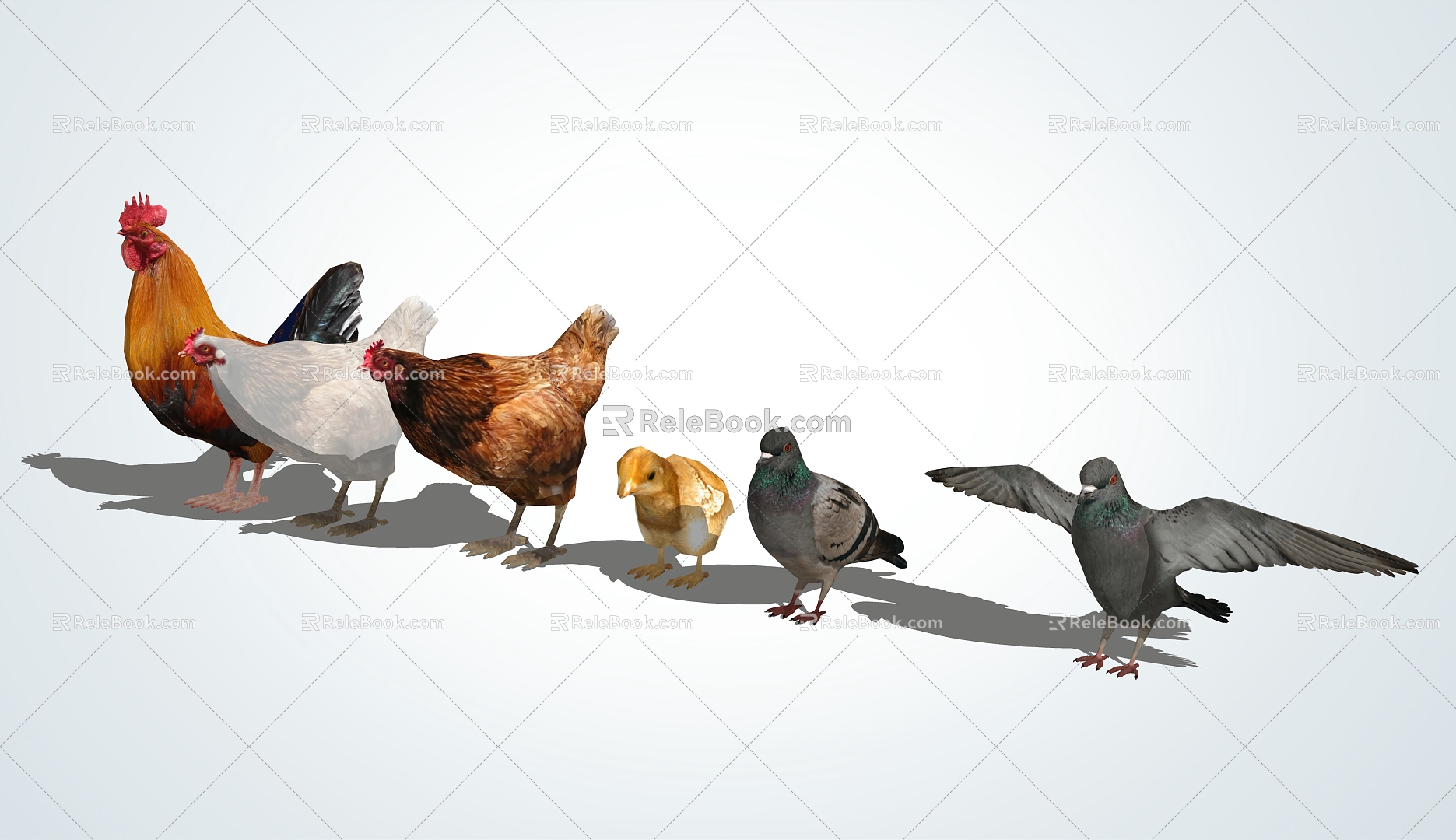 Modern Poultry 3d model