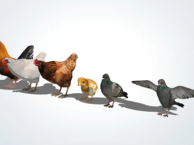 Diverse Reptile Species Showcasing Lizards Turtles And Colorful Snakes 3d model