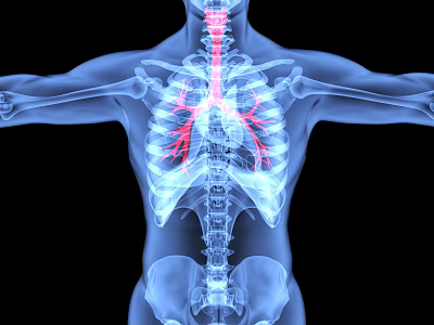 Advanced Medical Imaging Device For 3D Rendered Human Skeleton And Lungs 3d model