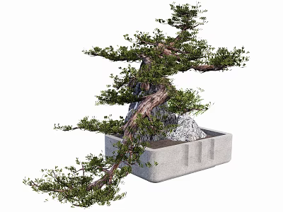 Potted Bonsai Tree With Curved Trunk Green Foliage And Square Stone Pot 3d model