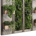 Vertical Green Wall With Various Plants On Slatted Wooden Structure 3d model