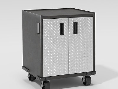 Safe with removable metal cabinet model