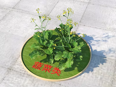 Fresh Vegetable Plants With Green Leaves Yellow Flowers And Round Tray Category Sign 3d model