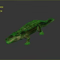 Detailed Crocodile Reptile With Scaly Skin Open Mouth And Long Tail