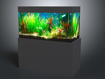 Colorful Tropical Fish Swimming in Glass Fish Tank with Green Aquatic Plants 3d model