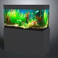 Colorful Tropical Fish Swimming in Glass Fish Tank with Green Aquatic Plants