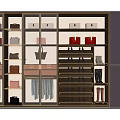 Modern Wardrobe With Glass Doors Lighting And Storage Shelves For Shoes Bags