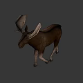 Brown Moose Game Movie Character 3D Model with Large Antlers
