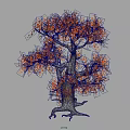 Ornamental Shrub With Orange Leaves Grayish White Trunk And Exposed Roots On Black Background