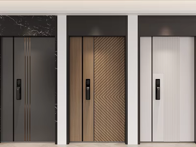 Modern Security Doors With Different Designs Colors And Textures For Home Safety 3d model