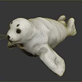 Cute White Baby Seal 3D Model Lying On Dark Surface With Soft Reflection