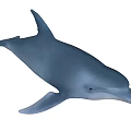 Realistic Blue Dolphin Aquatic Animal With Sleek Body And Dorsal Fin