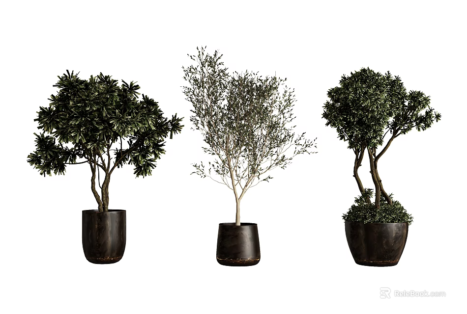 Decorative Bonsai Potted Plants With Black Pots And Various Tree Shapes For Home Decoration 3d model 