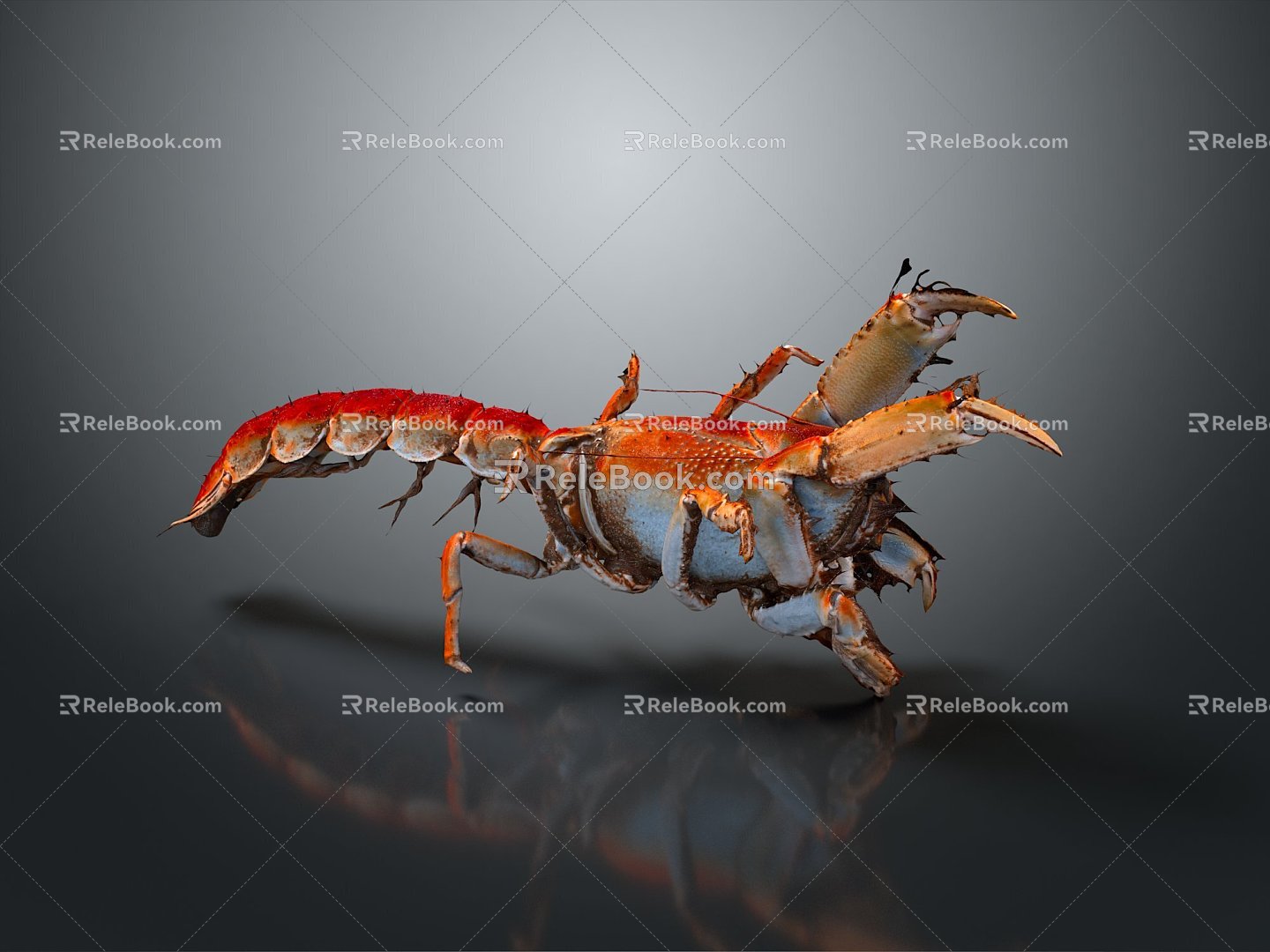 Modern Shrimp Australian Rock Lobster Macrobrachium monochrome lobster Procambarus clarkii 3d model