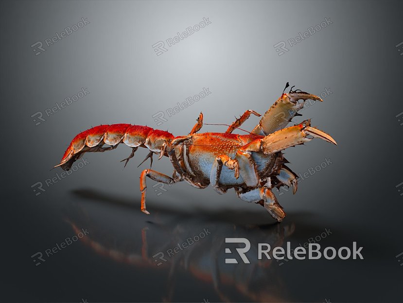 Modern Shrimp Australian Rock Lobster Macrobrachium monochrome lobster Procambarus clarkii model