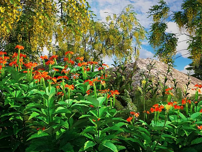 Vibrant Orange Flowering Bushes With Lush Green Leaves And Natural Garden Rocks 3d model