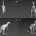 Realistic 3D Gray Kangaroo Model In Standing Pose With Detailed Features 3d model