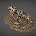 Prehistoric Dinosaur Skeleton Fossil Preserved In Rock Matrix With Complete Remains