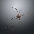 Advanced Medical Device for Neurological Research and Neuron Imaging Applications