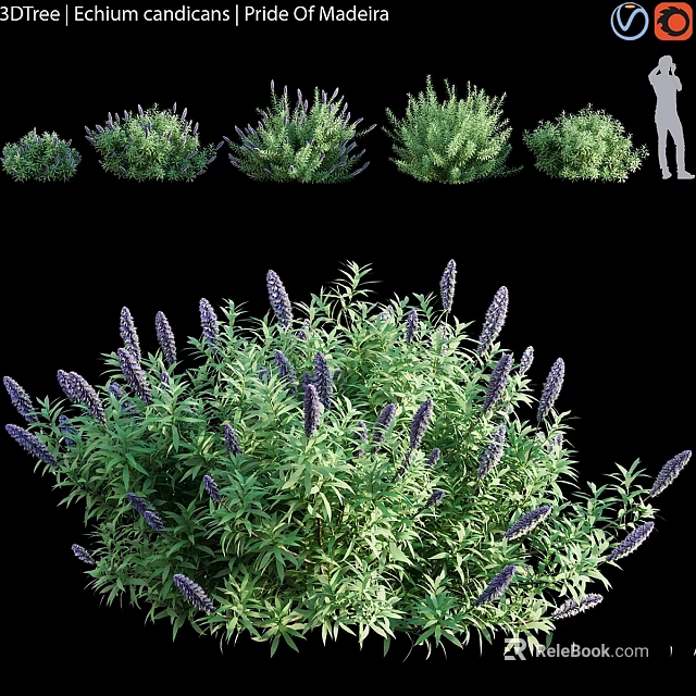 Lush Decorative Garden Shrubs with Purple Flowers Green Leaves and Various Sizes 3d model 