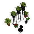 Bonsai Potted Plants with Black Metal Stands and Wooden Pots for Indoor Green Decor