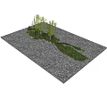 Green Bamboo Plants With Tall Poles Lush Leaves Rocks And Pebble Ground