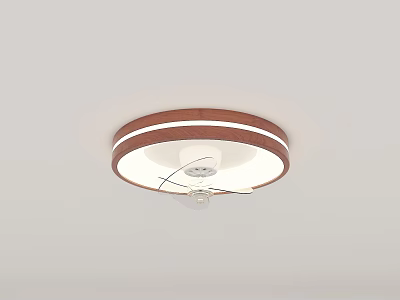 Modern Round Ceiling Light With Brown Frame And White Illuminating Body Design 3d model
