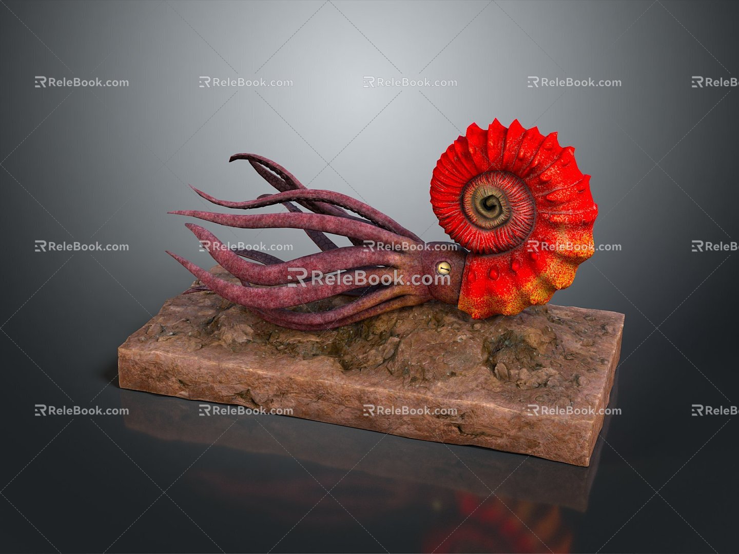 Cuttlefish Squid Cuttlefish Squid Squid Octopus Beads Squid Octopus Octopus Heart-fin Whip Squid 3d model