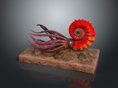 Cuttlefish Squid Cuttlefish Squid Octopus Beads Squid Octopus Heart-fin Whip Squid 3d model