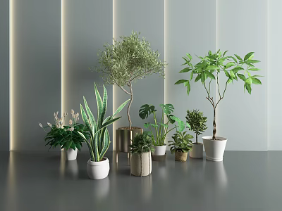 Potted Plants With Different Varieties Sizes And Stylish Indoor Pots 3d model