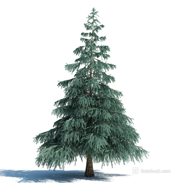 Tall Evergreen Arbor With Lush Green Foliage And Layered Branch Structure 3d model 