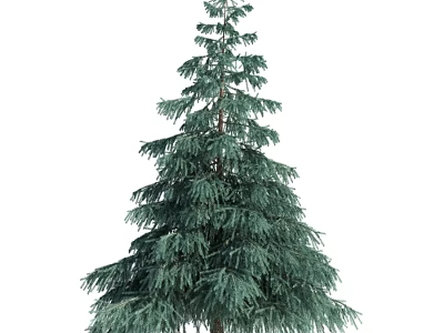Tall Evergreen Arbor With Lush Green Foliage And Layered Branch Structure 3d model