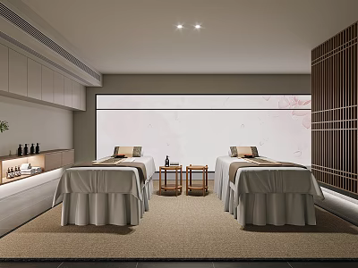 Elegant Modern SPA Sauna Studio With Comfortable Massage Beds And Wooden Elements 3d model